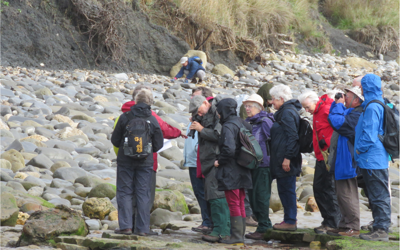 Geology Devizes U3A educational, recreational and leisure