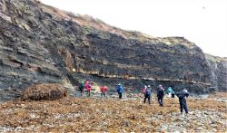 Extensional Fault in the cliffs Kimmeridge - WJ