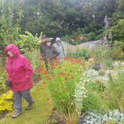 July Garden Visit to Scots Farm Malmesbury 04