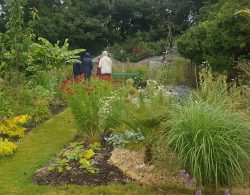 July Garden Visit to Scots Farm Malmesbury 01